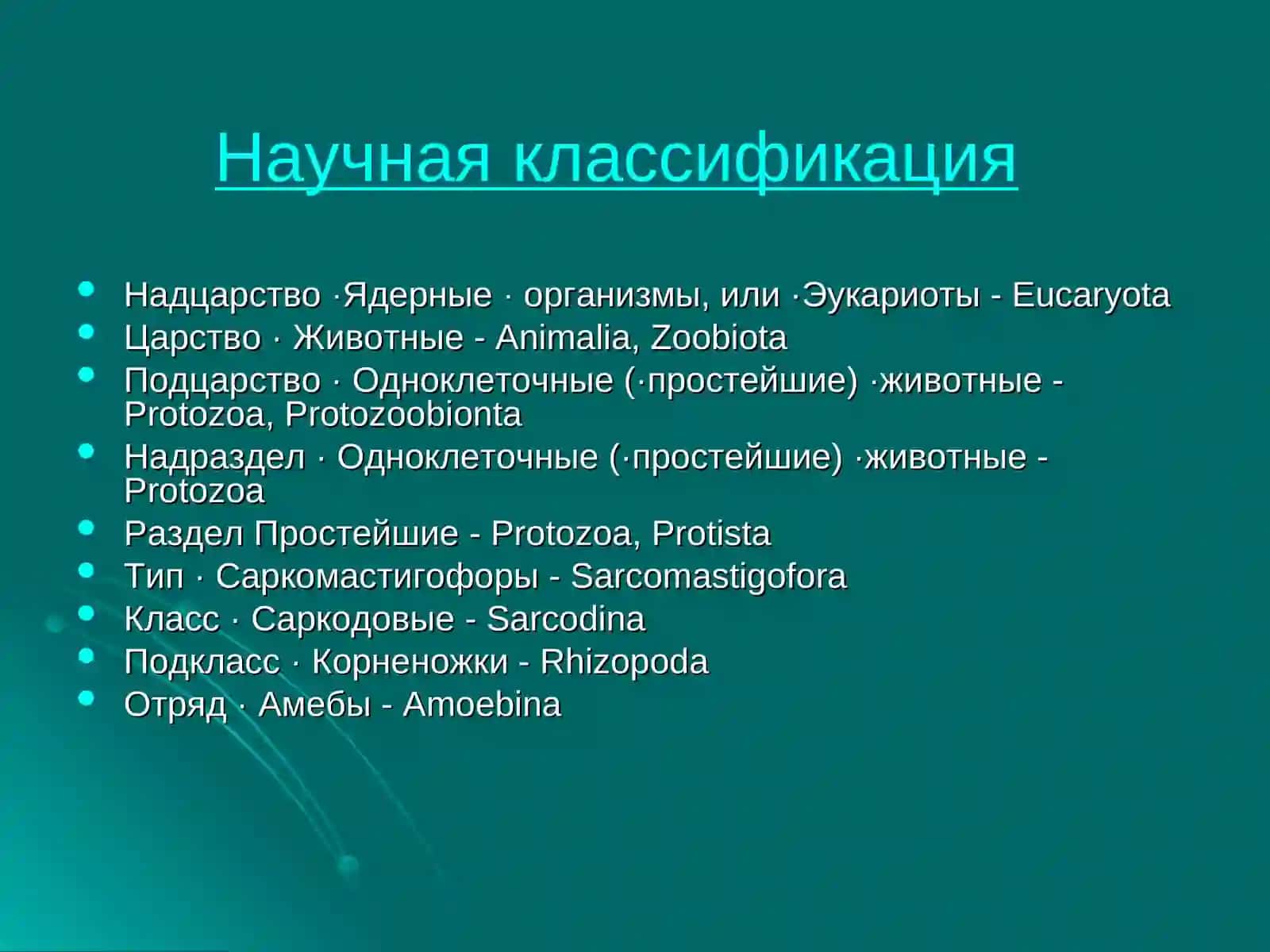 Амёбная дизентерия 4