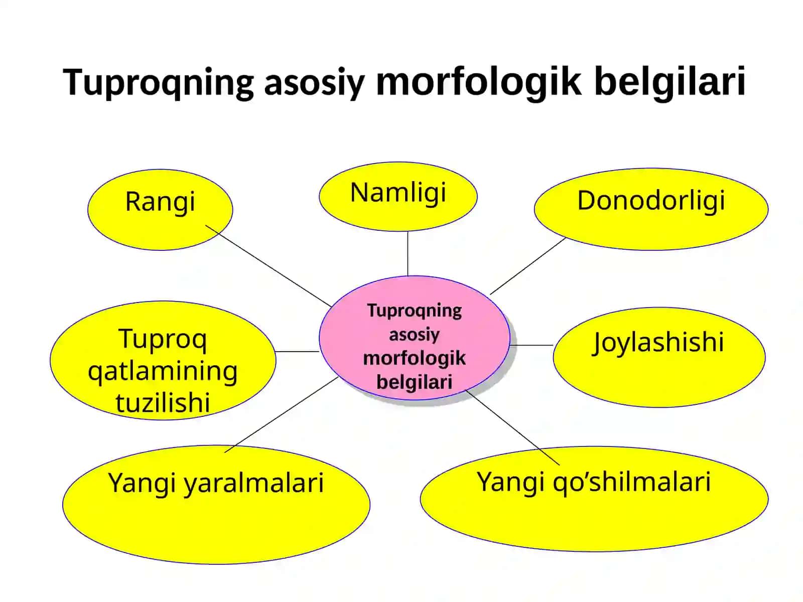 tuproq morfologiyasi 4