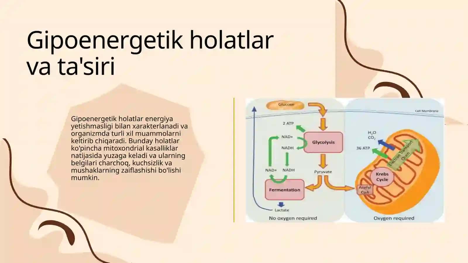 Energiya almashinuvining boshqarilishi 4