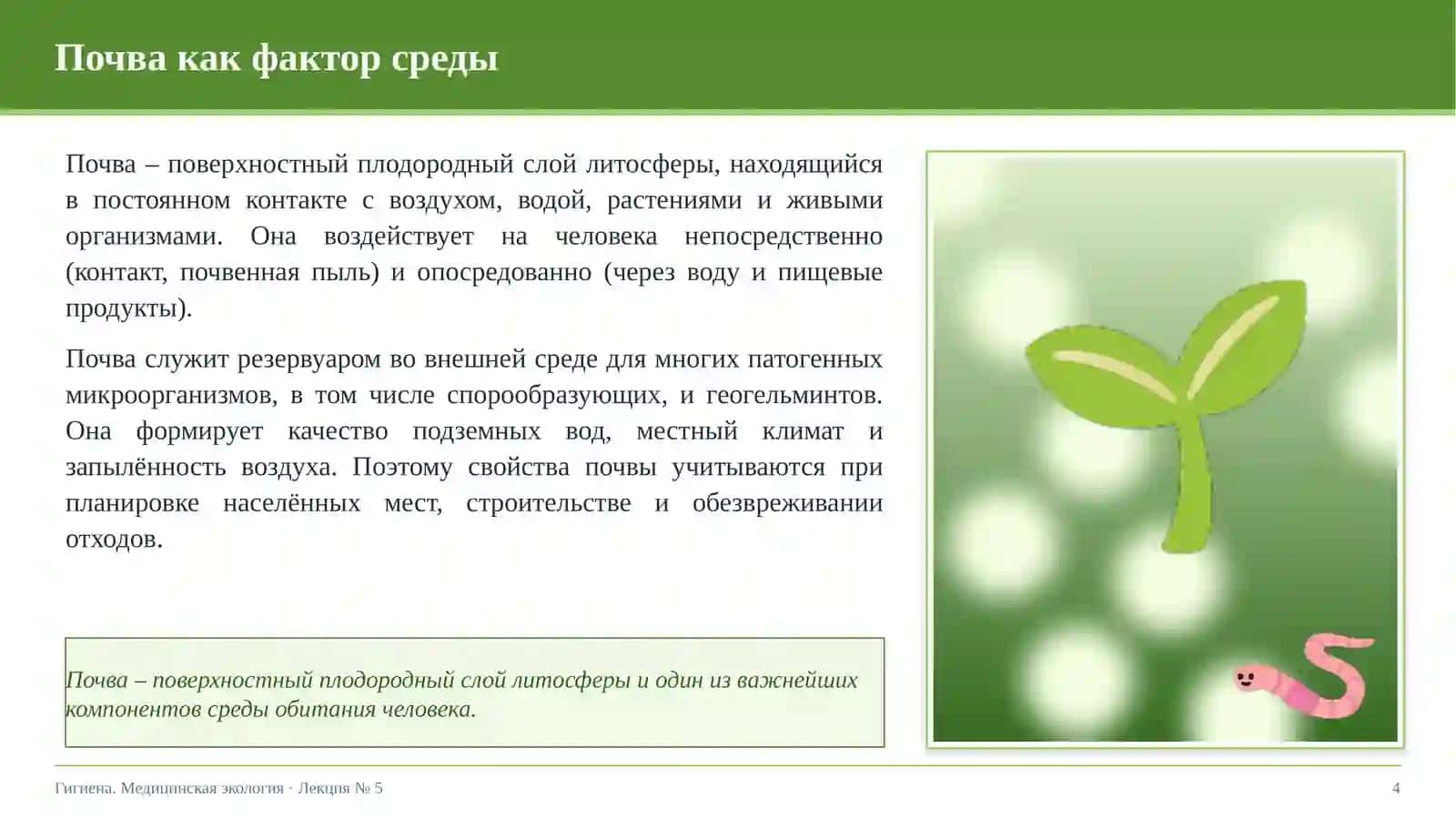 Гигиена почвы. Современные проблемы медицинской экологии 4