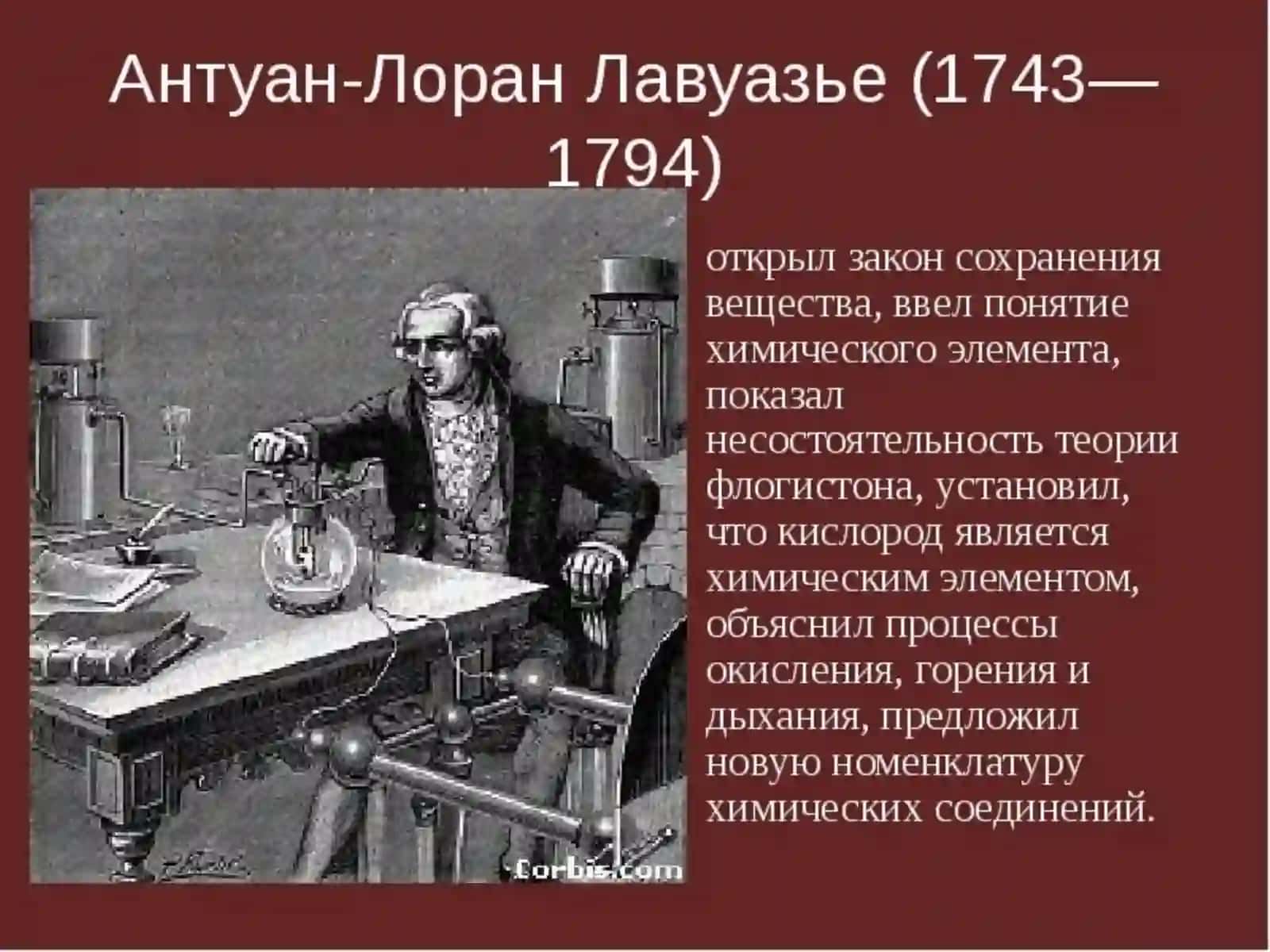 O‘simliklar hayotida nafas olishning ahamiyati 4