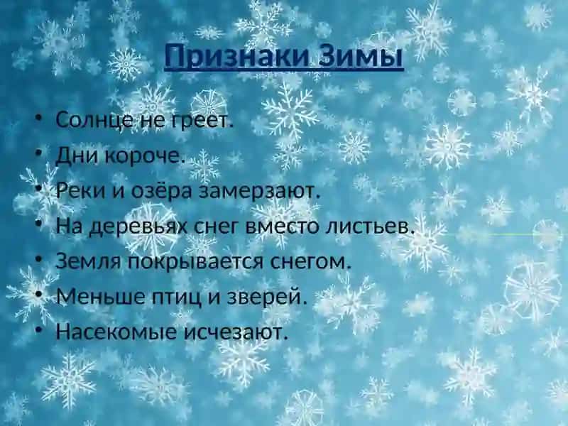 Зима 4