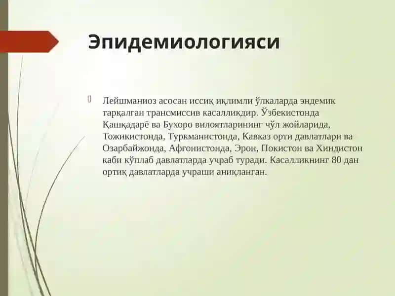 Лейшманиоз 4