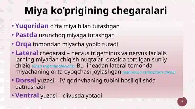 Miyako’prigi anatomiyasi 4