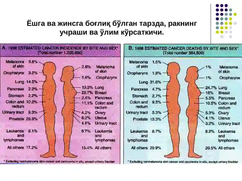 Ўсмалар 4