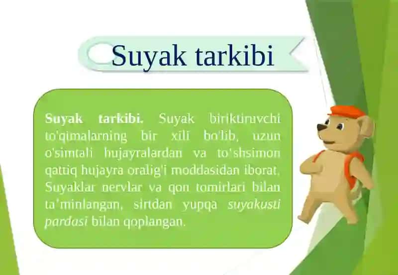 SUYAK ILIGI RIVOJLANISHI  TUZILISHI VAZIFASI  QIZIL ILIK SARIQ ILIK 4