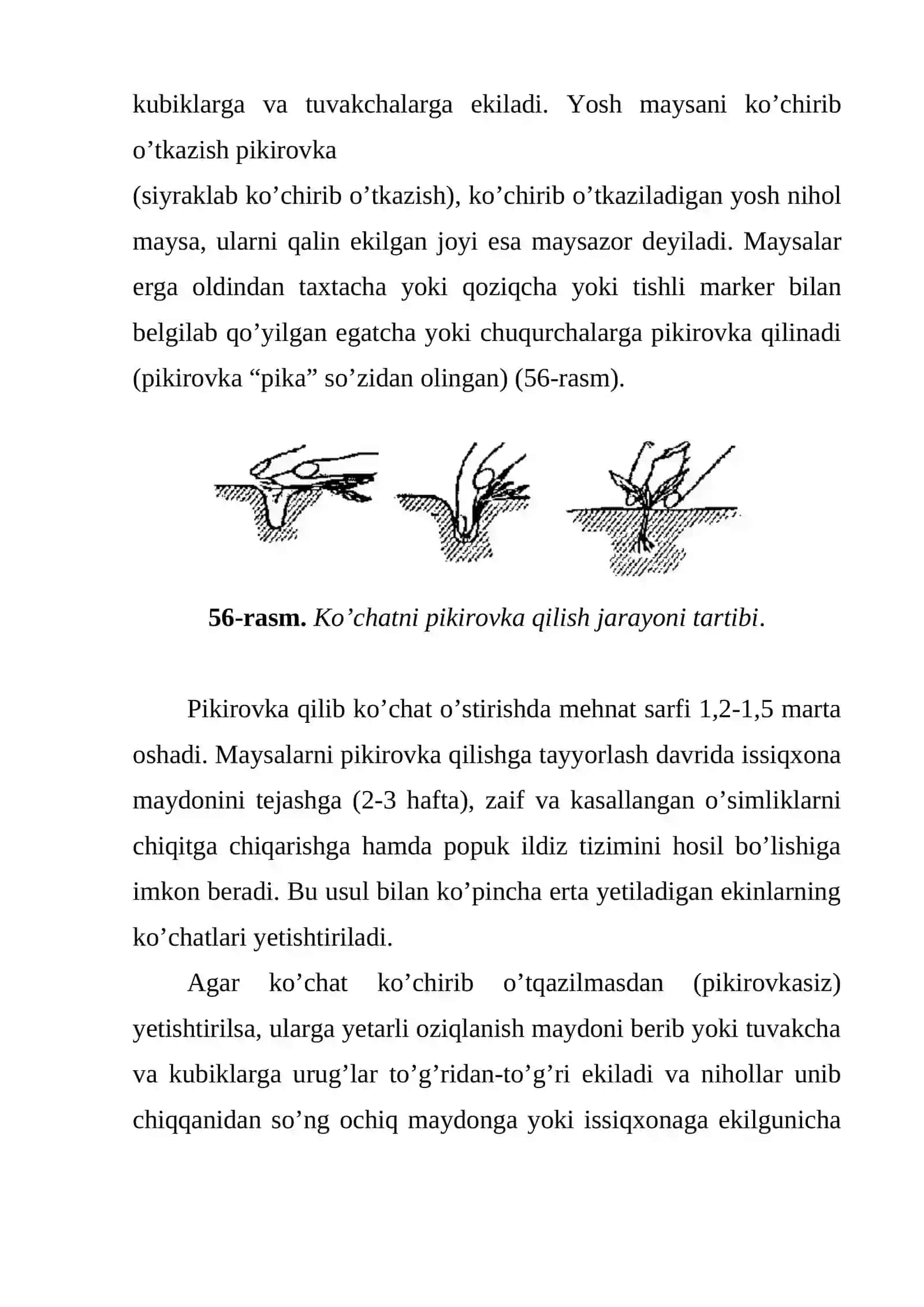 Payvandlangan ko’chatlarni moslashishi va ishlab chiqarish 4