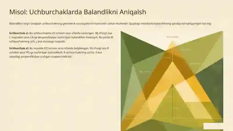 Balandlik Mintaqalanishi Qonuniyati Asosiy Tushunchalar va Amaliy Ahmiyati 4