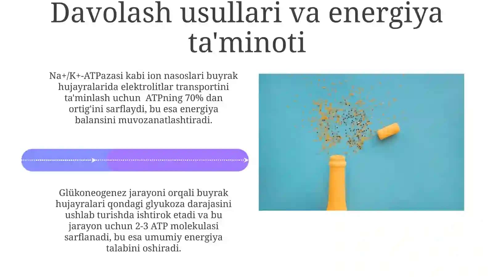 Buyraklarning kalsiy,fosfor va bikarbonat almshinuv energiya taminlanishi 4
