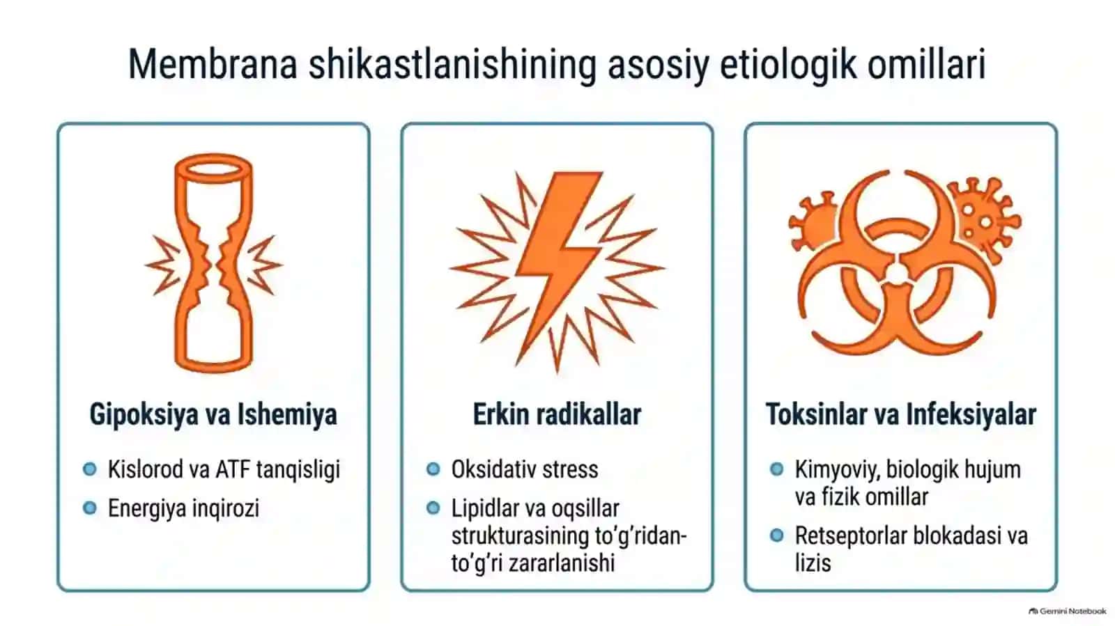 Membranalar buzilishining patologik jarayonlardagi o‘rni — 15 slayd 4