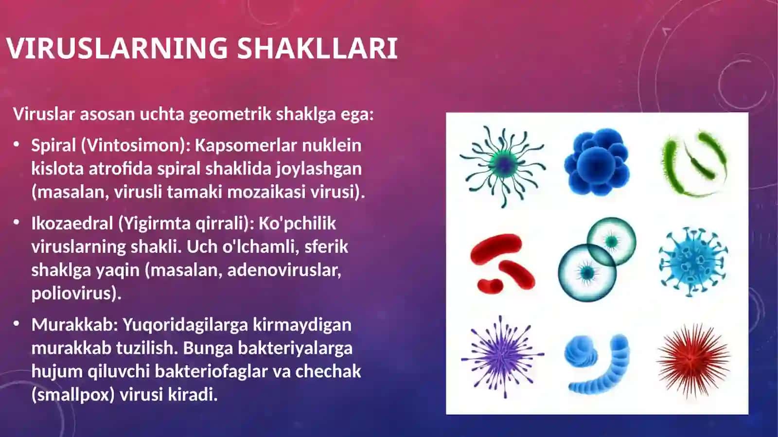 Viruslar. Ularning o'ziga xos umumiy tuzilishi va farqlari 4