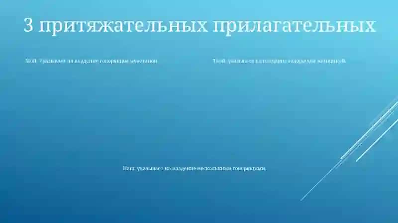 Прилагательное 4