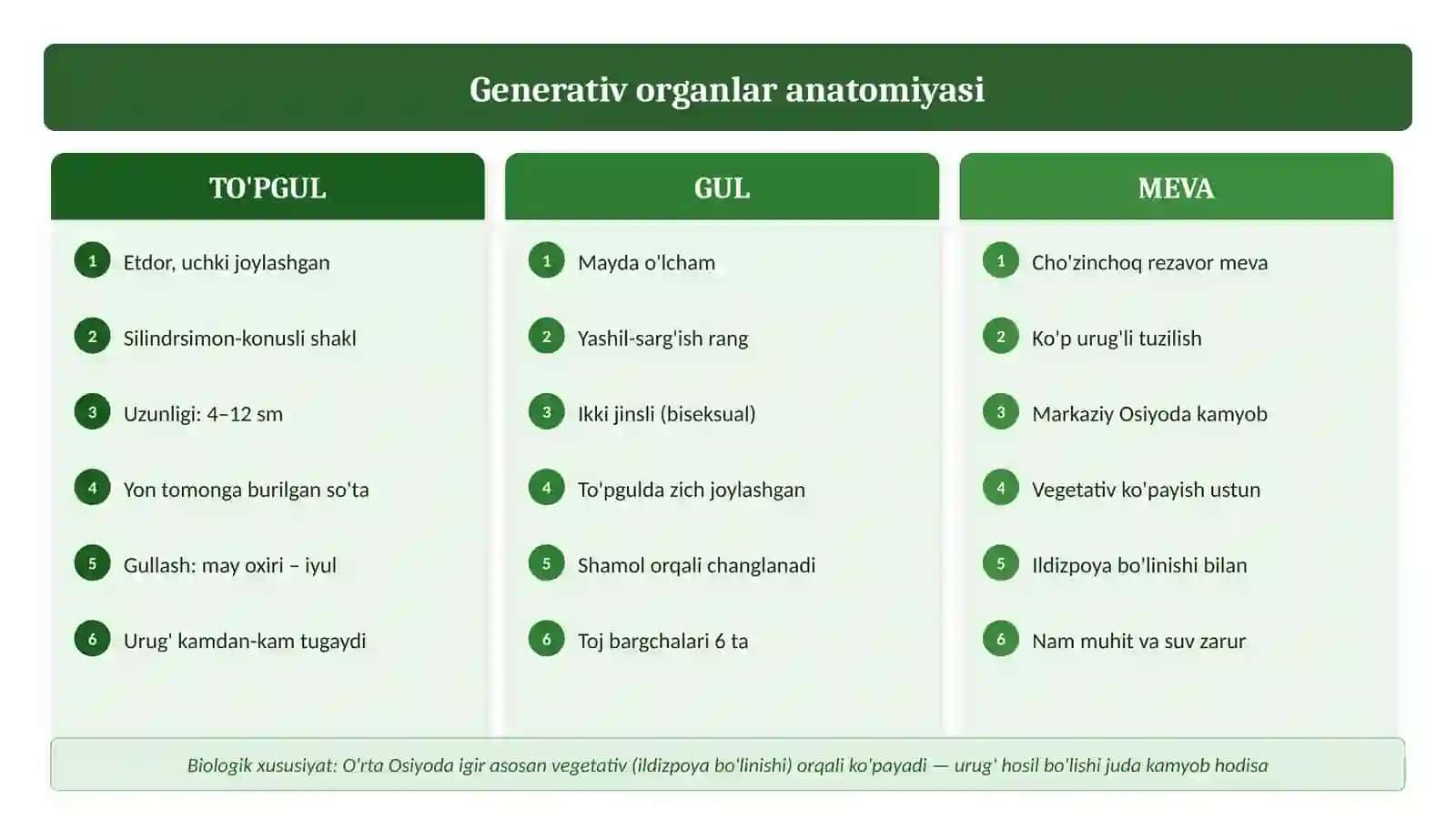 Igir-Acorus calamus O'zbekiston dorivor o'simliklar atlasi 4