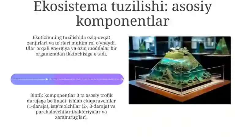 Ekotizimlarning tuzilishi va faoliyatining asosiy tamoyillari hamda yashashga yaroqli biosfera 4