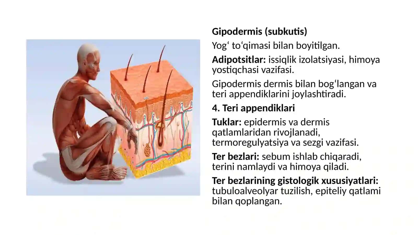 Davolashishifakulteti 4