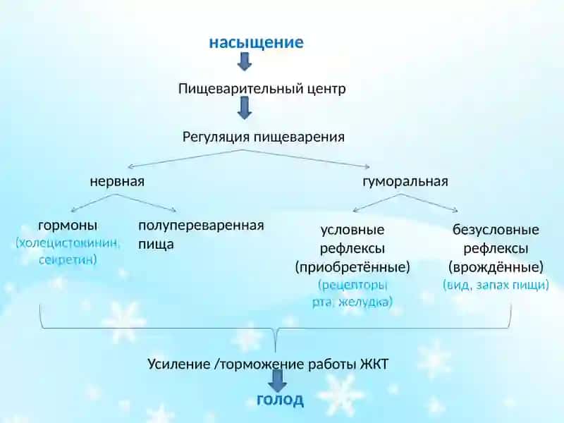 Гигиена питания 4