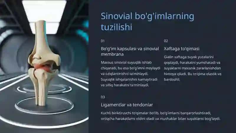 Umurtqa pog'onasi bo'g'imlari: Tuzilishi va Ahmiyati 4
