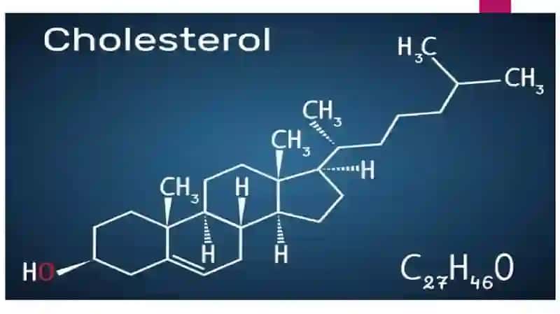 Mavzu: Xolesterin tashilishida qatnashuvchi apo-oqsillar. 4