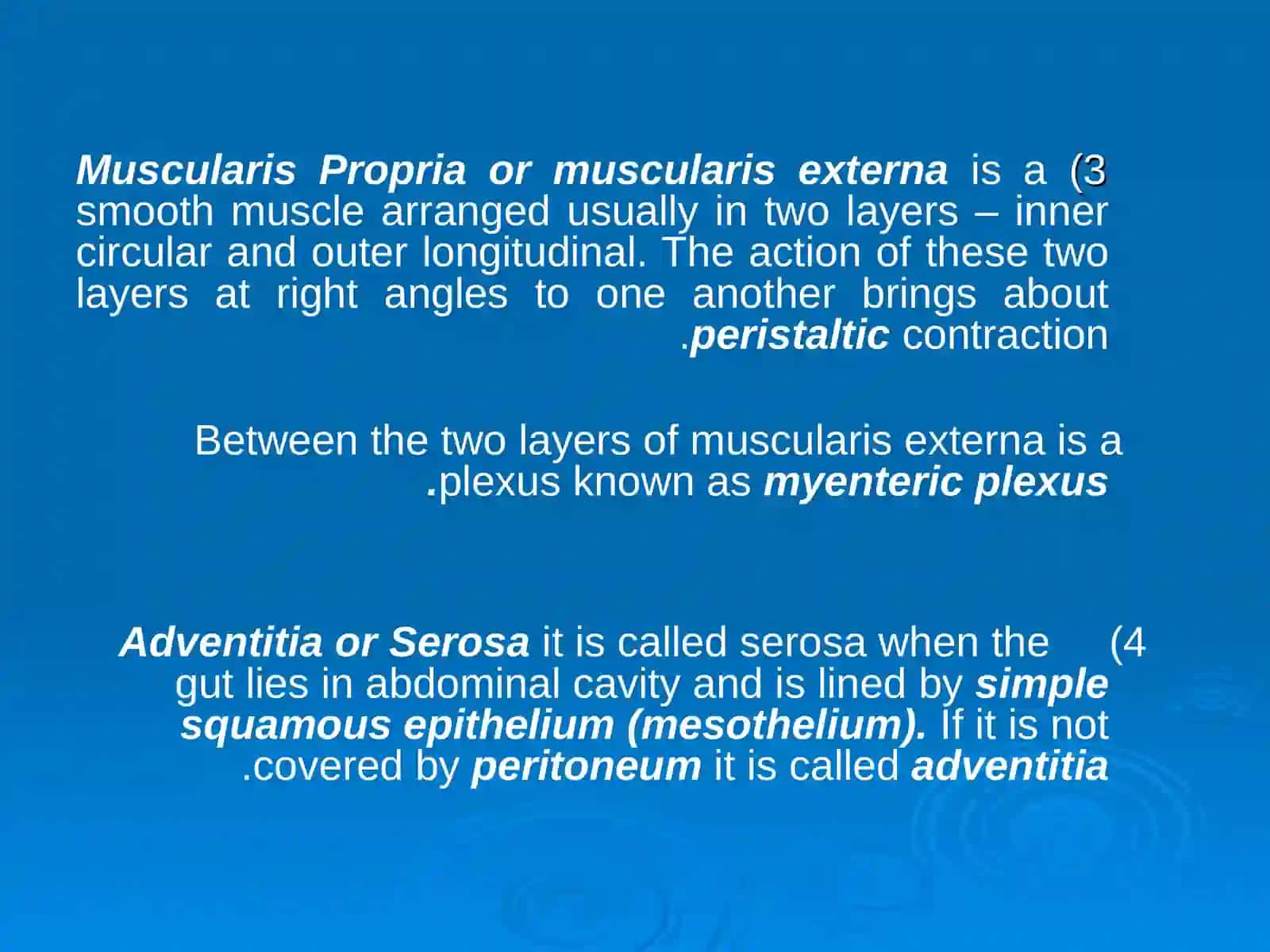 HISTOLOGY OF THE DIGESTIVE SYSTEM 4