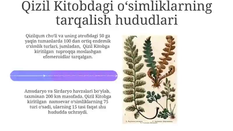 Oʻzbekiston Respublikasi Qizil Kitobiga kiritilgan òsimliklar 4
