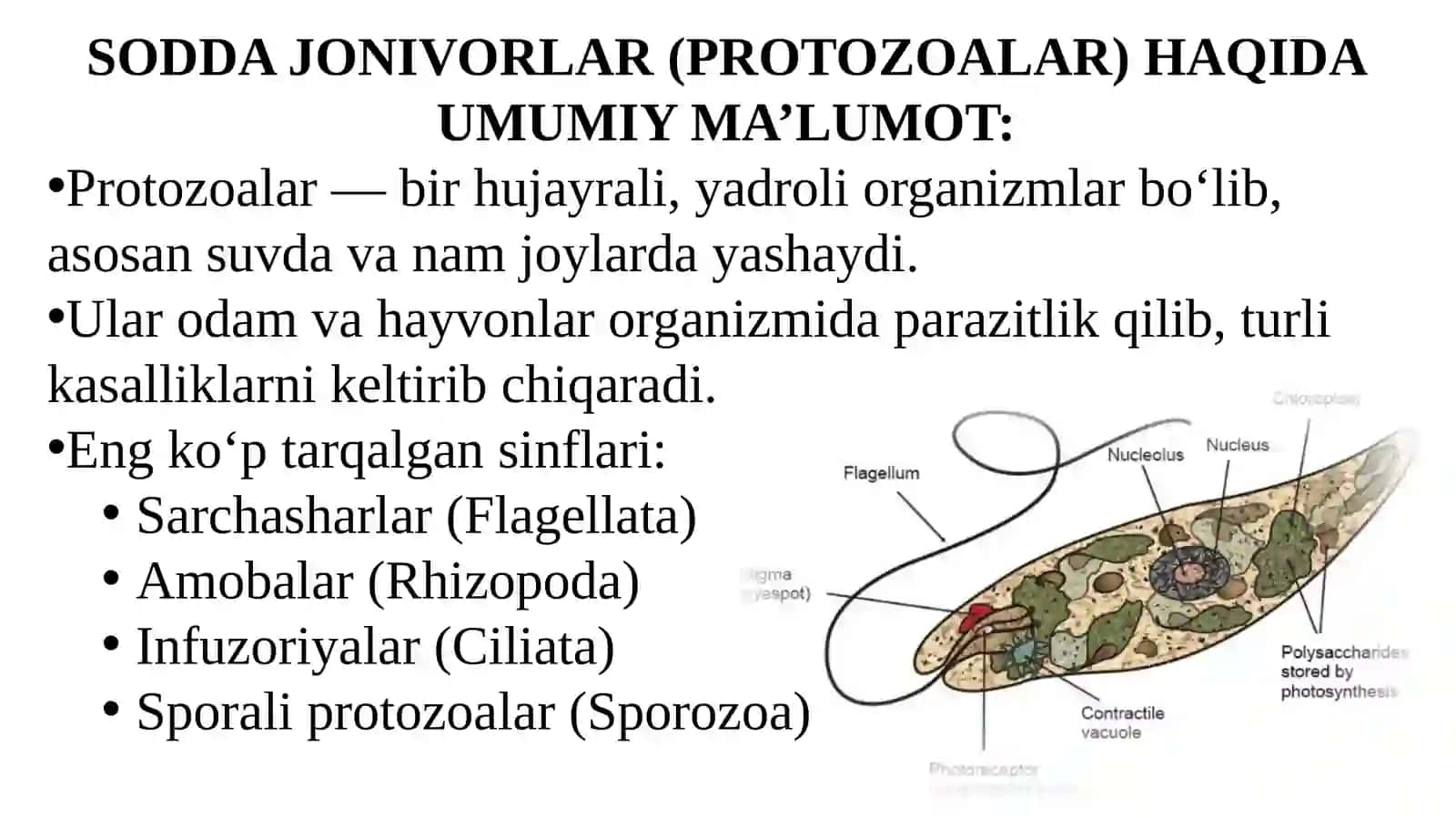 SODDA JONIVORLAR KELTIRIB CHIQARUVCHI KASALLIKLAR VA ULARNI LABORATORIYA DIAGNOSTIKASI HAQIDA TO'LIQ MA'LUMOT 4