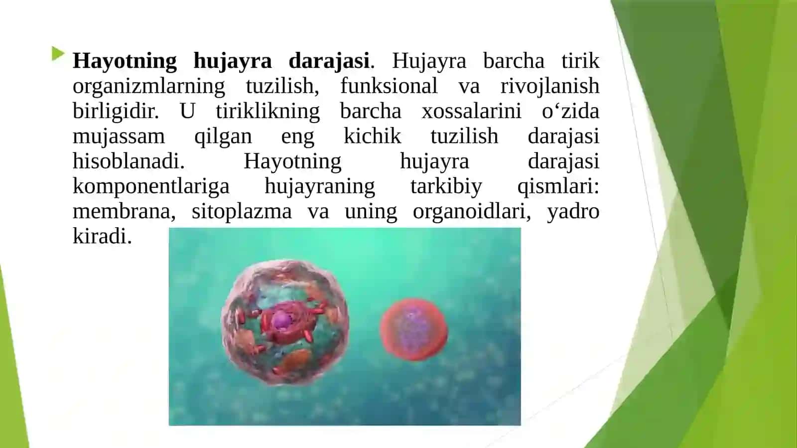 Hayotning tuzilish darajalari 4
