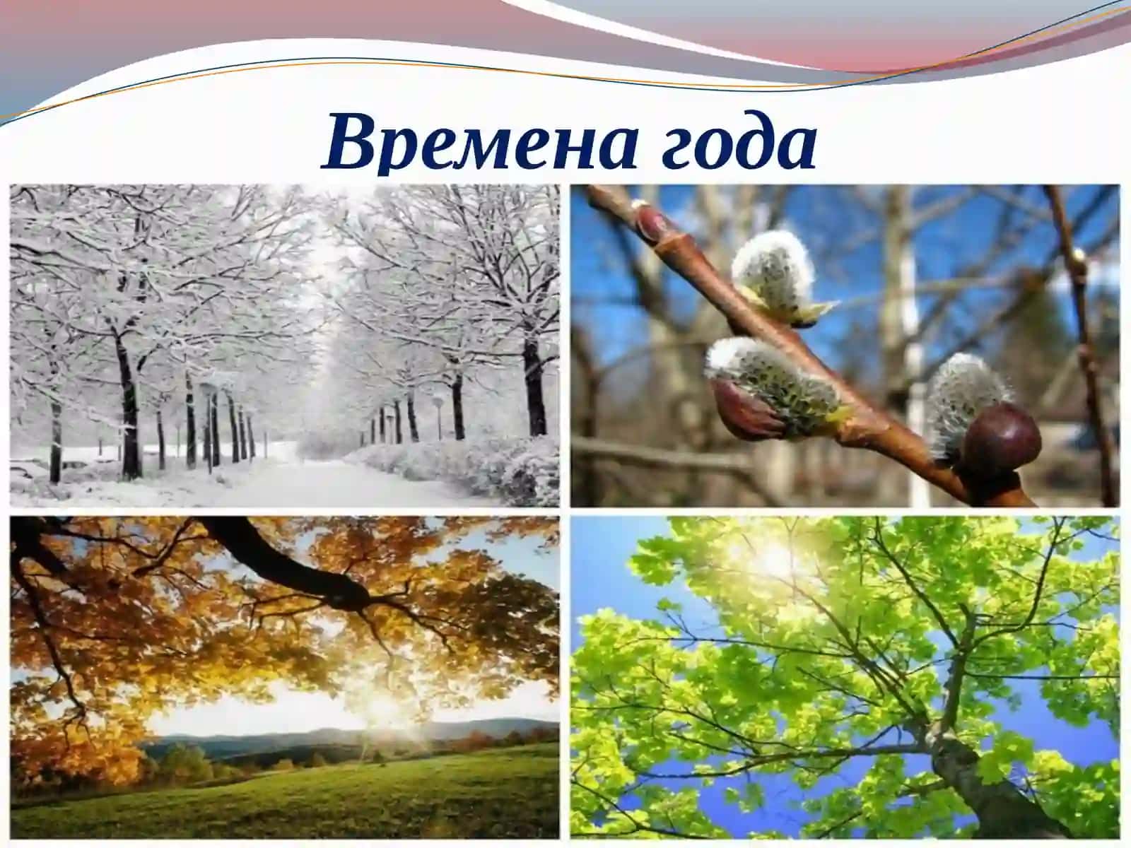 Подготовка презентация 4