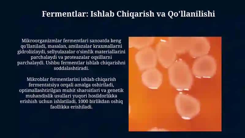 Mikroorganizmlar Metabolizmi Mahsulotlari 4