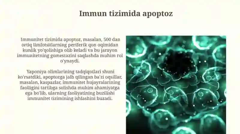Hujayra appoptozi va uning giologik ahamiyati 4