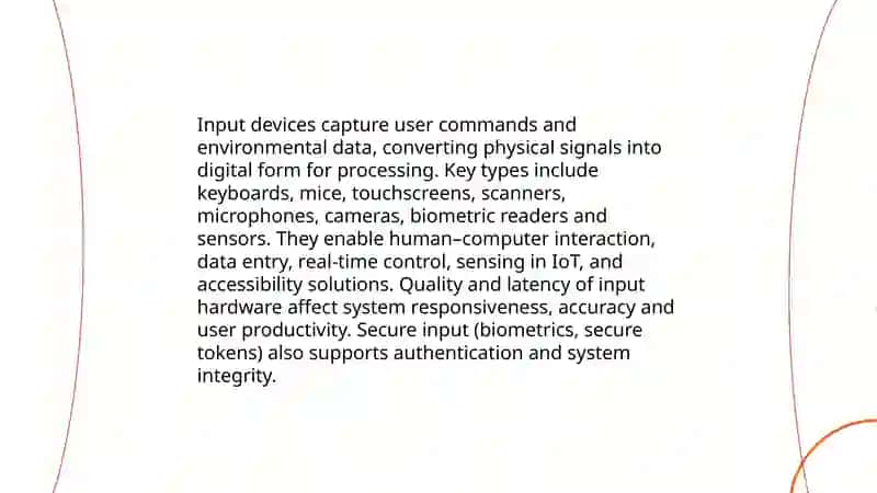 Peripherals and Their Importance in IT 4