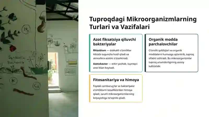 Tuproq Unimdorligini Oshirishda Mikroorganizmlardan Foydalanish 4