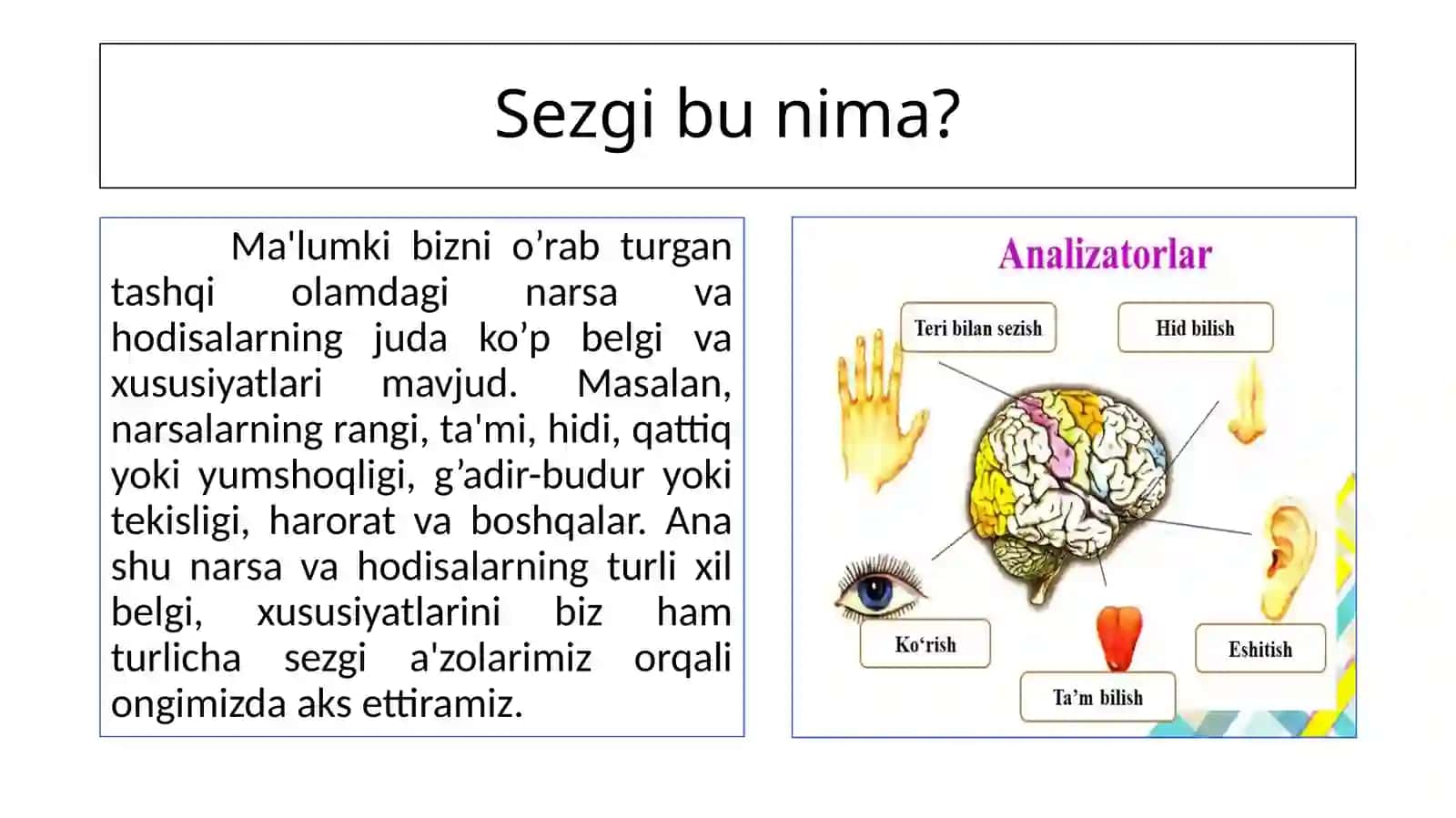 Bilish jarayonlari. Sezgi psixologik mohiyati 4