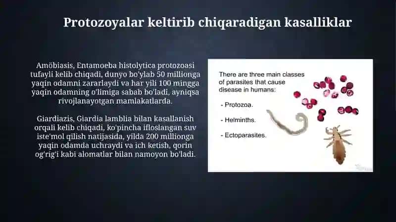 Parazitozlar (sodda jonivorlar va gelmintlar) qo’zg'atuvchi kasalliklar 4