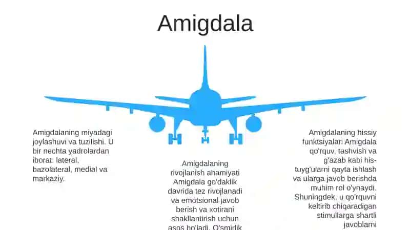 Мия Турли Тузилмаларнинг Хиссиётлар Ривожланишидаги Ахамияти 4