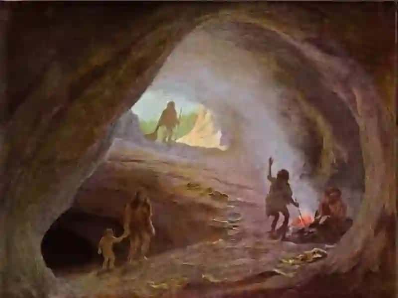 Dunyoaholisisoni,o`sishivajoylashuvi 4