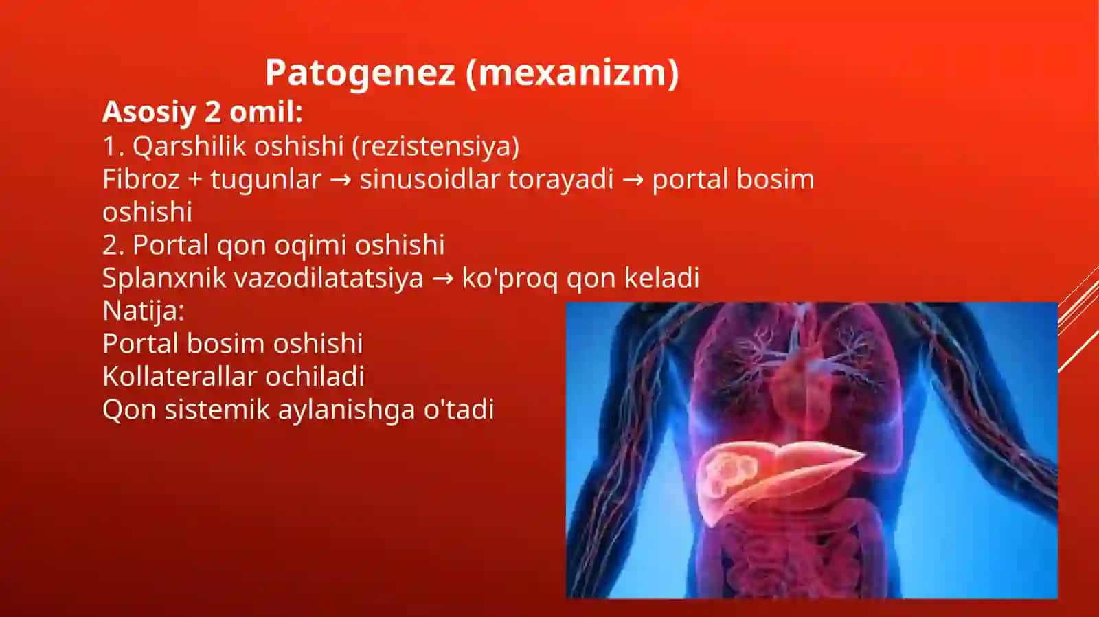 Portal Gipertenziya 4