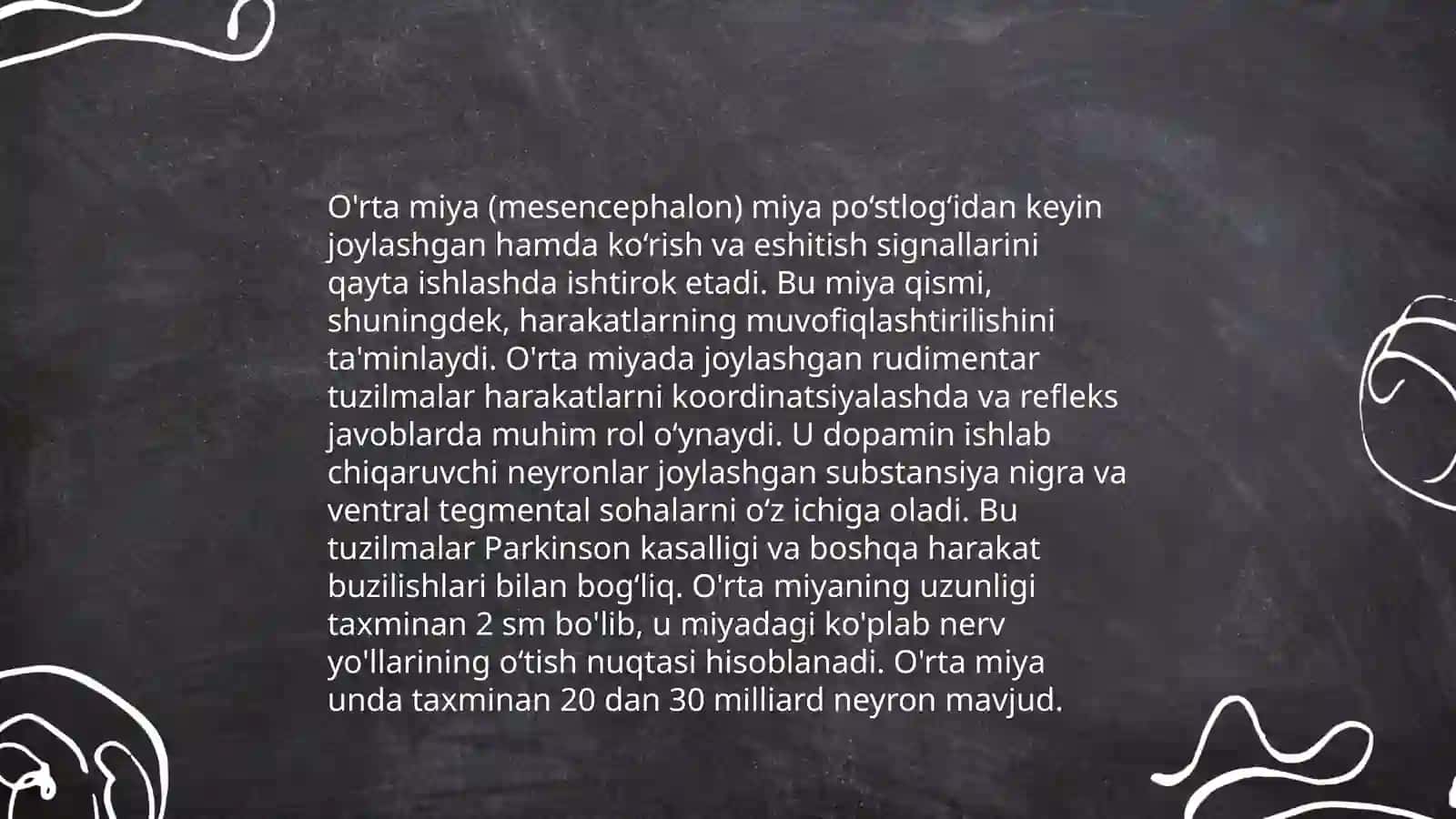 О'rta miya anatomiyasi 4