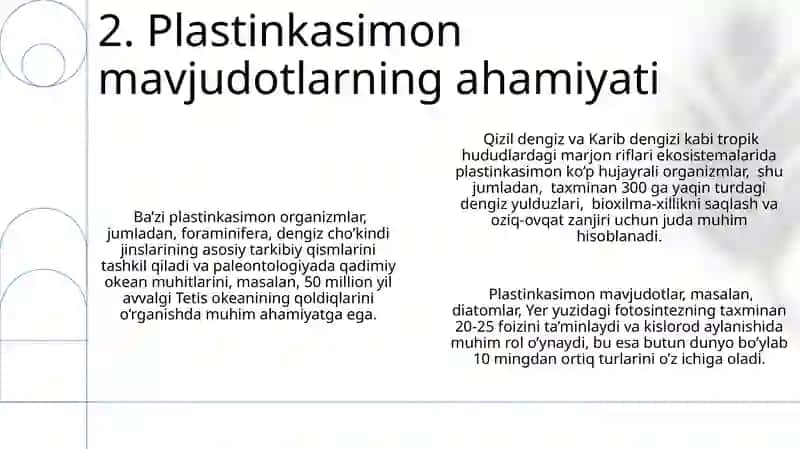 plastinkasimonlar 4