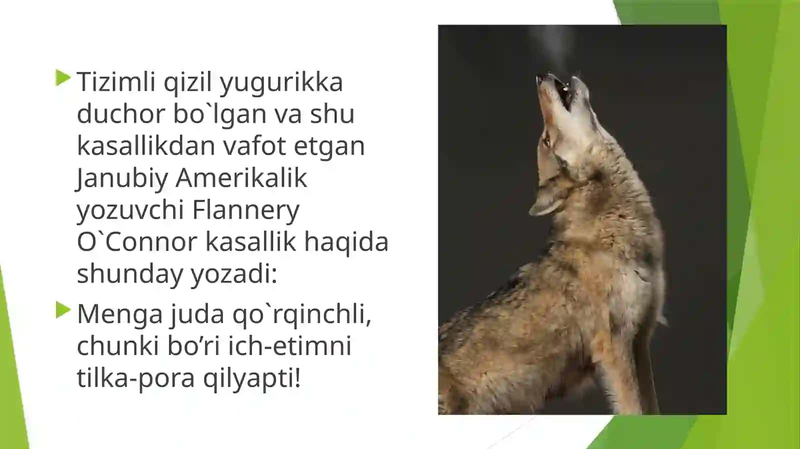 Tizimli qizil yugurik va dermatomiozid 4