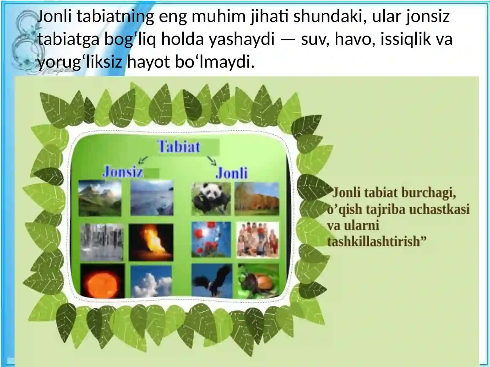 Jonli va jonsiz tabiat haqida tushuncha 4