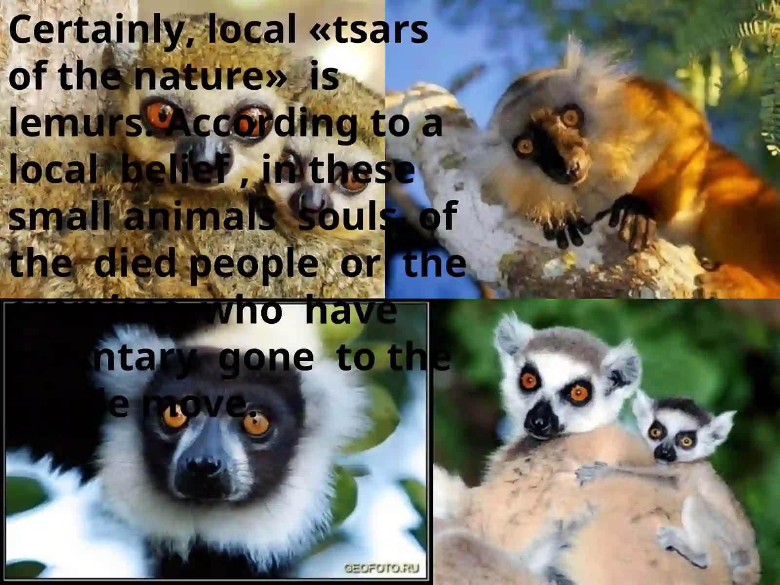 Madagascar: Island of Life Treasures 4