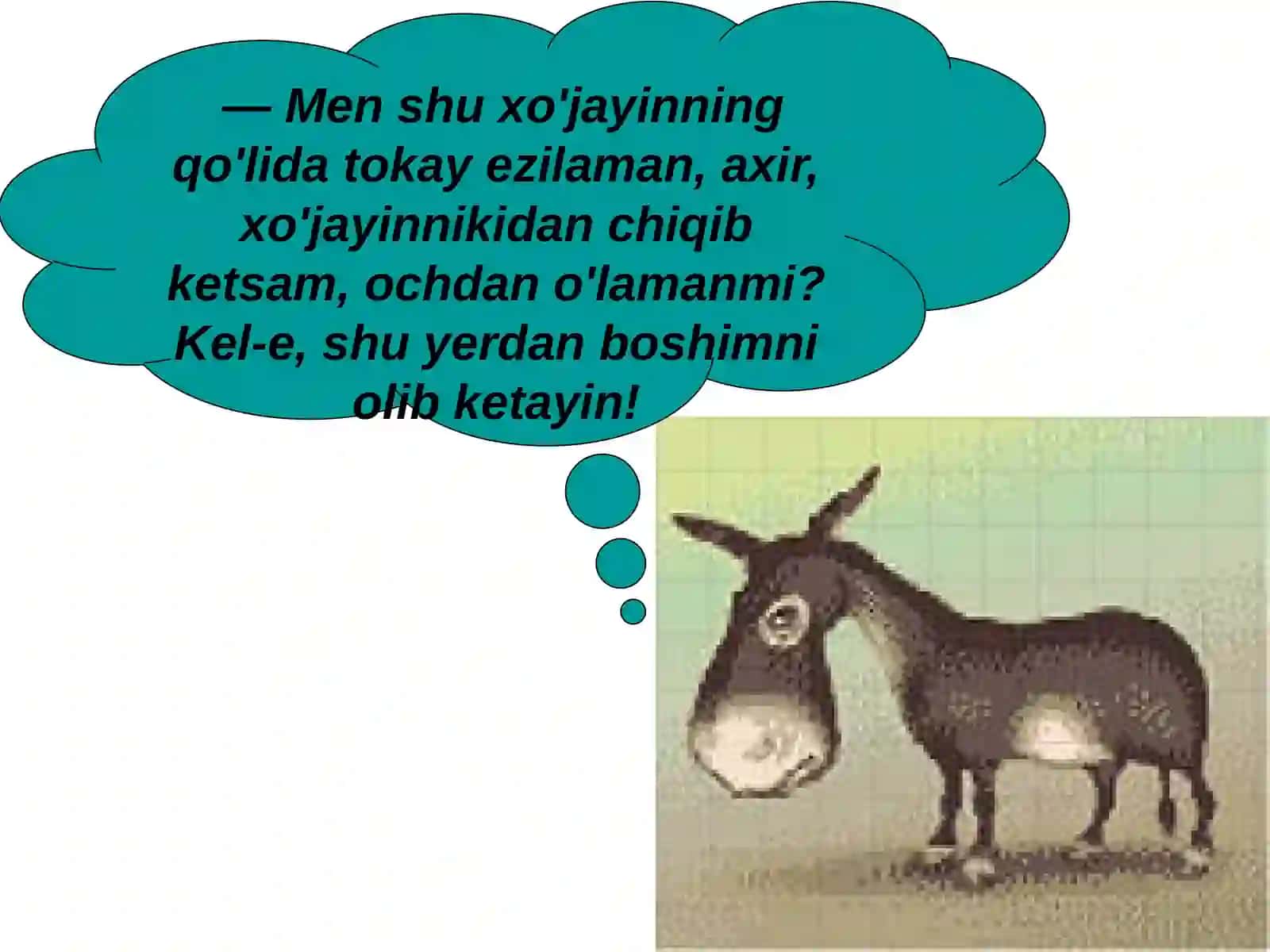 Susambil 4