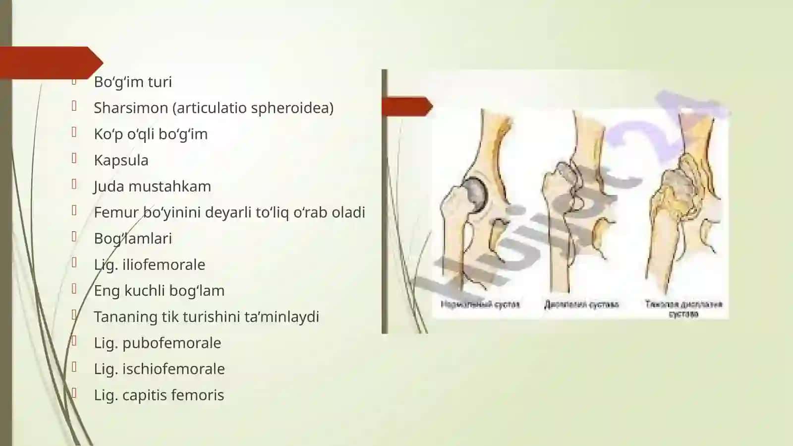ERKIN OYOQ SUYAKLARINING TUTASHUVLARI 4