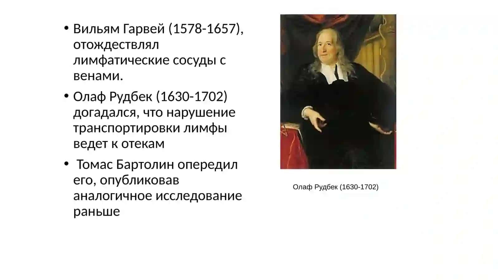 Лимфатик тугунлар ва талоқнинг анатомияси ва морфологияси 4