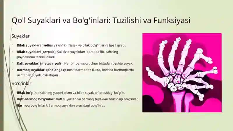Qo'lva Oyoq Topografiyasi 4