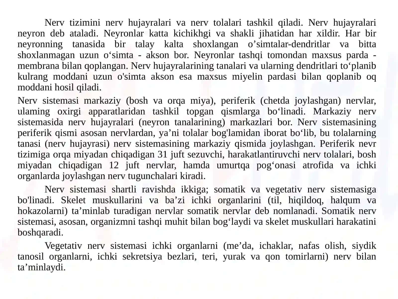 Nerv tizimining fiziologiyasi yosh xususiyatlari va gigiyenasi 4