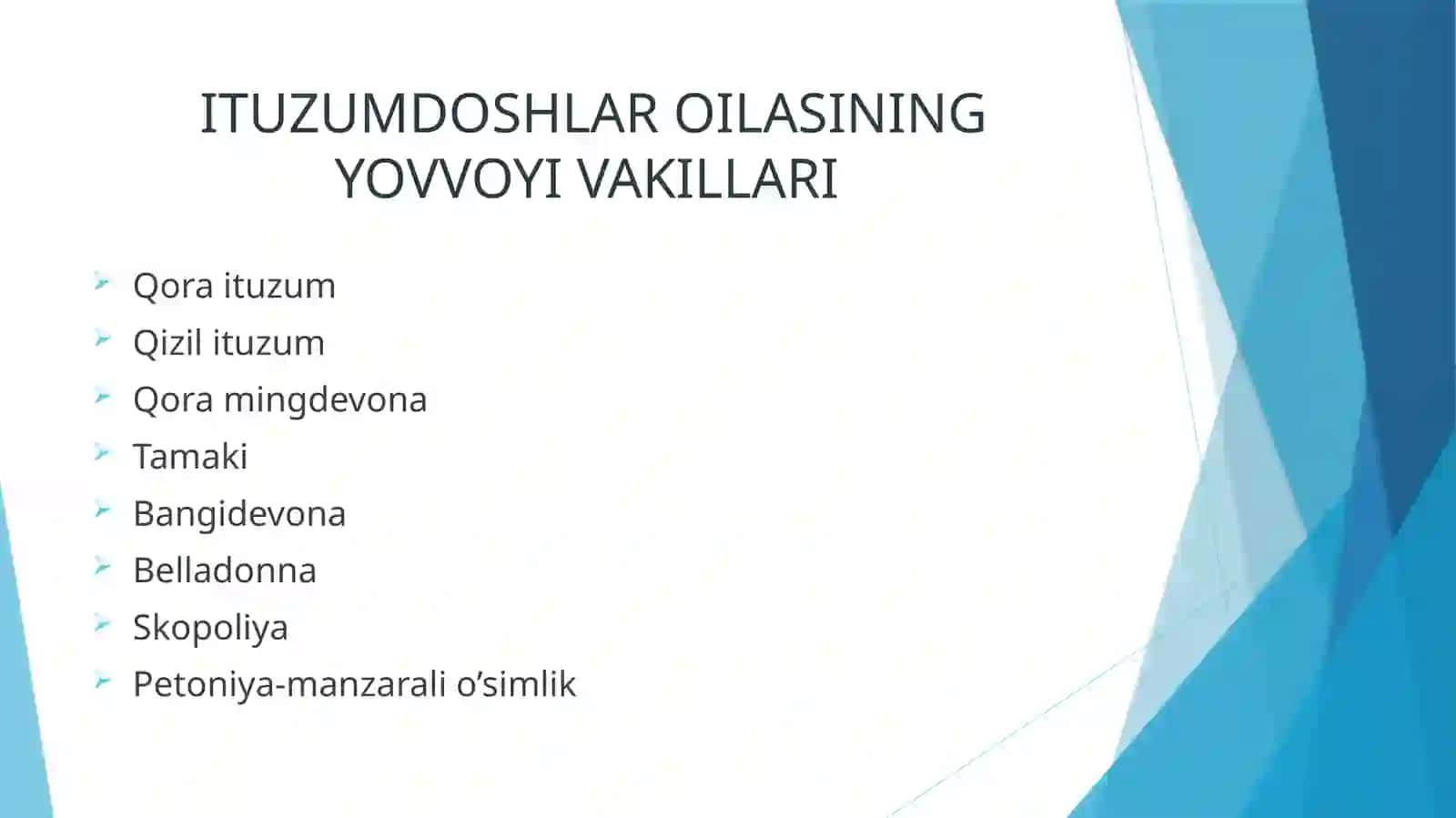 Qoraituzum 4