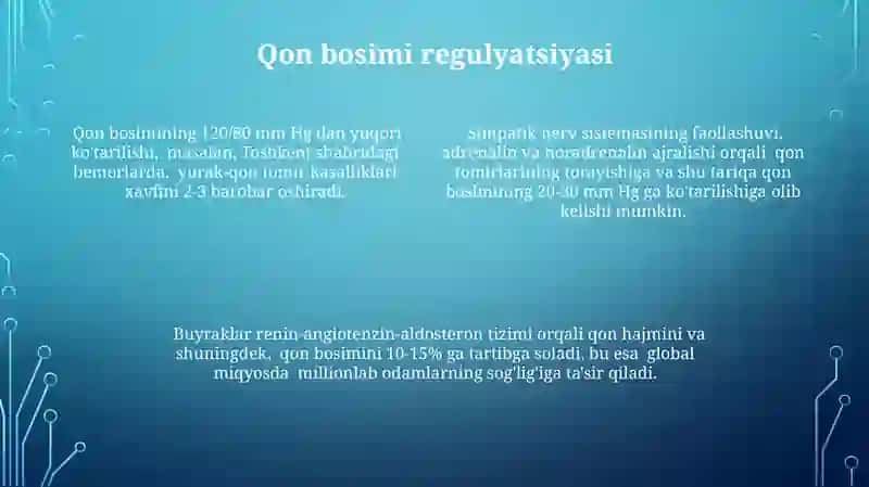 Yurak-qon tomirlari va ularning funktsiyalari 4
