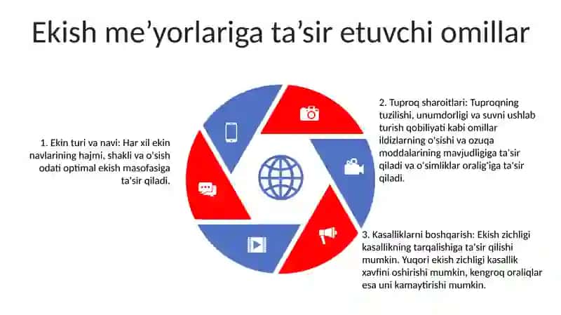 Sabzavot Ekinlarini Ògitlash 4