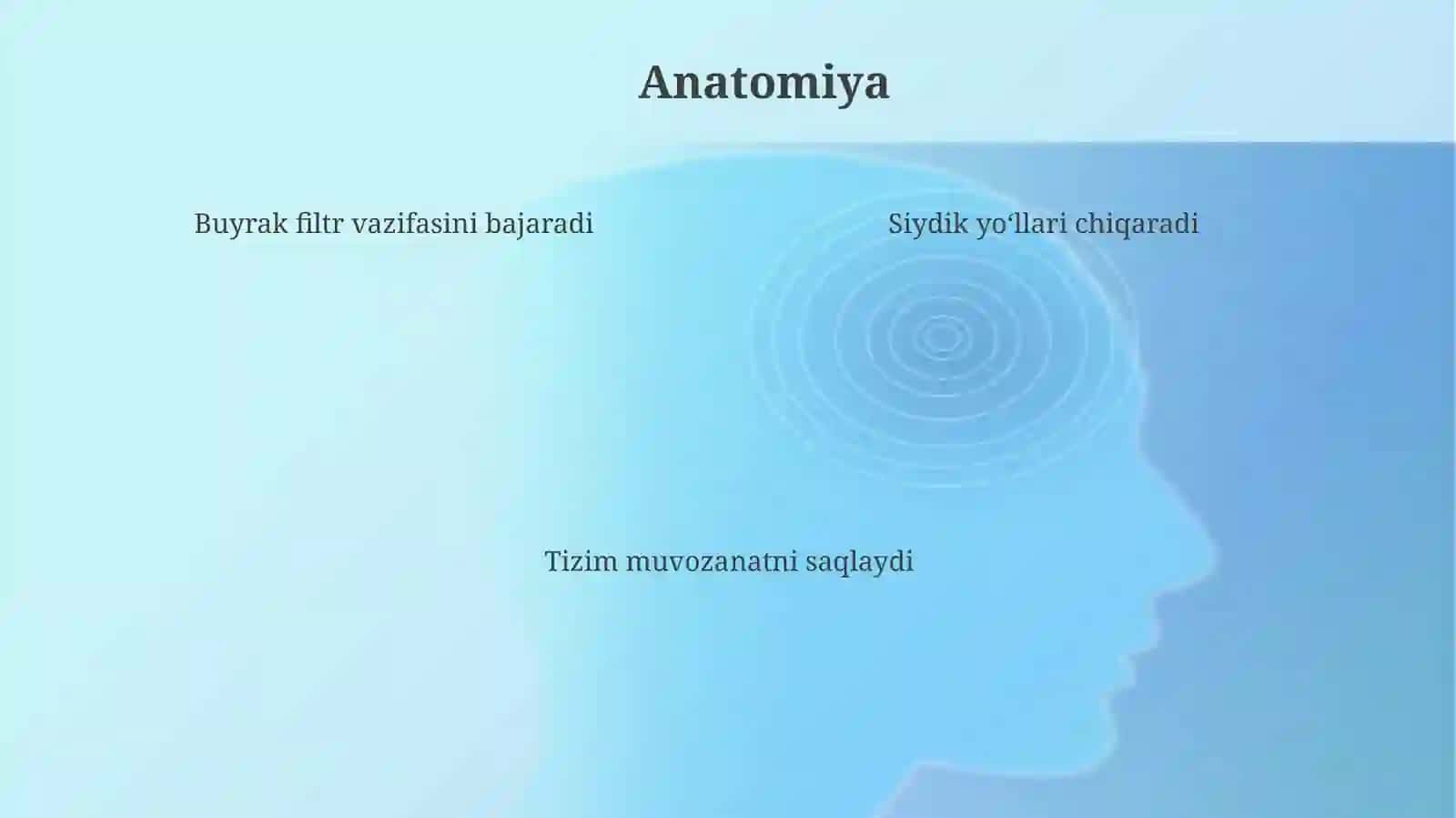 Buyrak va siydik ajratuv yo‘llari kasalliklari parvarishi 4